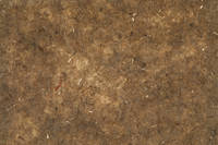300g Non-Woven Flax Fibre Cured Laminate Sample Thumbnail