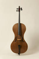 Flax Fibre Cello by Tim Duerinck Thumbnail