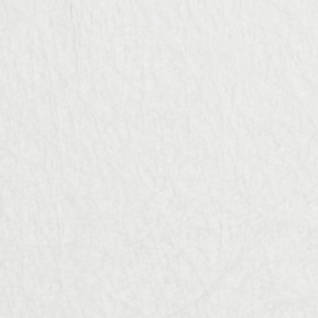 35g Glass Surface Tissue (1000mm) Thumbnail