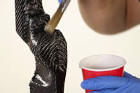 Mix and apply the first clear layer